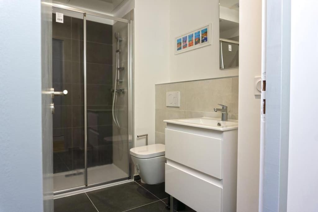 Charmant Palais Riviera Climatise Vieux ニース エクステリア 写真
